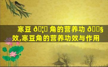 寒豆 🦄 角的营养功 🐧 效,寒豆角的营养功效与作用